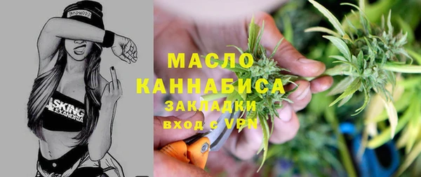 индика Билибино