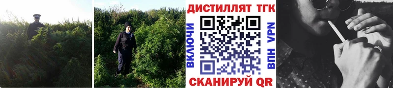 ТГК вейп  hydra   Сольцы 