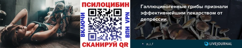 гидра ONION  закладка  Сольцы  Псилоцибиновые грибы Psilocybine cubensis 